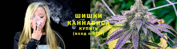 PSILOCYBIN Балахна