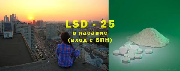 PSILOCYBIN Балахна