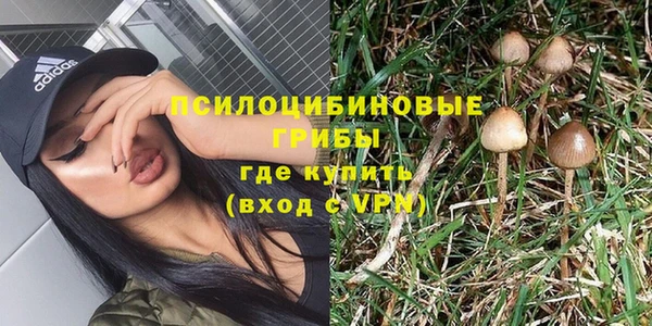 PSILOCYBIN Балахна